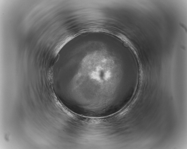 X0000102401385200808291436