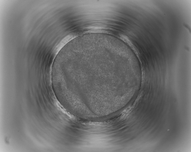 X0000102401386200808291436