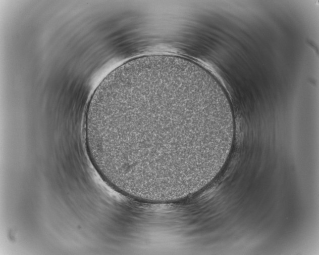 X0000102401387200808291436