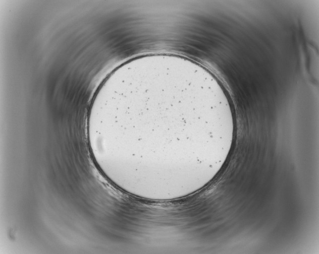 X0000102401388200808291436