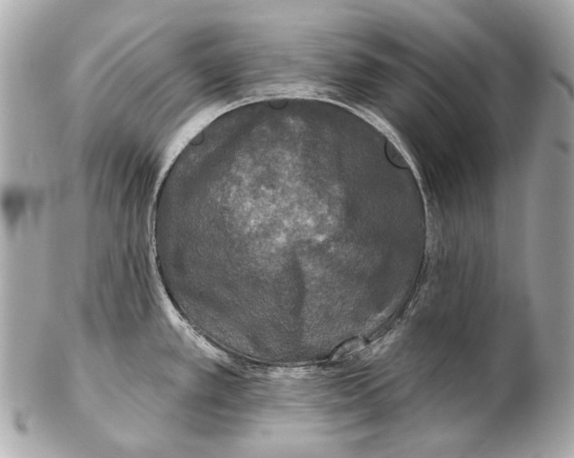 X0000102401389200808291436