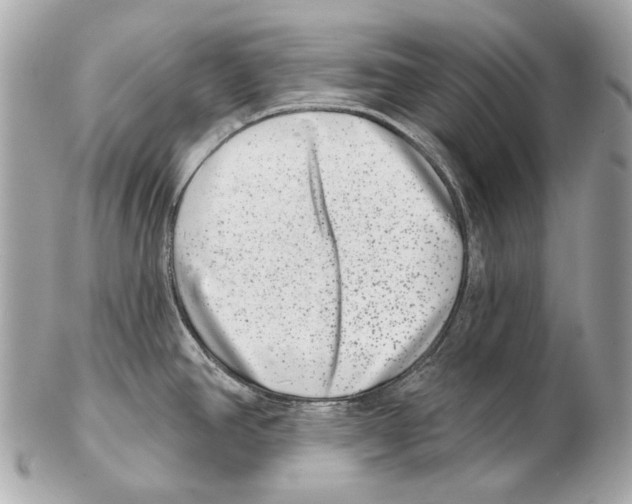 X0000102401390200808291436
