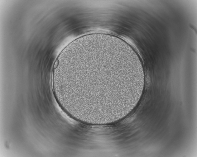X0000102401391200808291436
