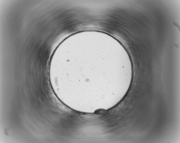 X0000102401392200808291436