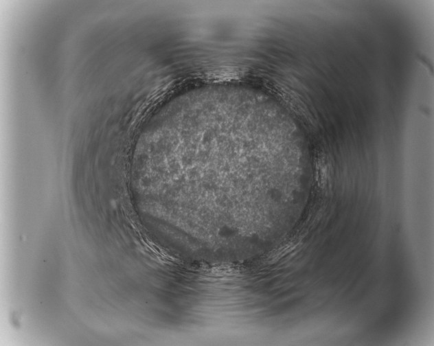 X0000102401393200808291435