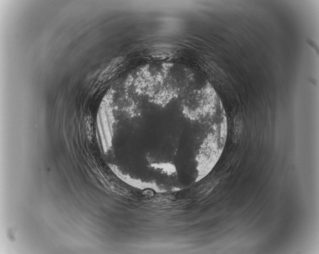 X0000102401394200808291435