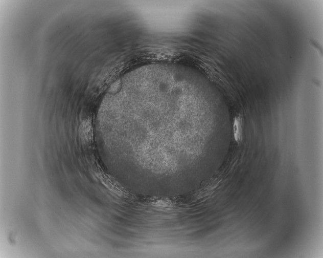 X0000102401395200808291435