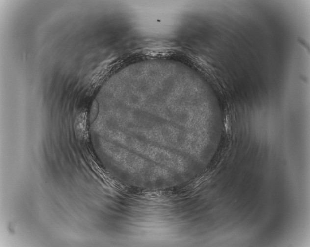 X0000102401396200808291435