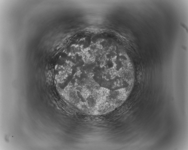 X0000102401397200808291435