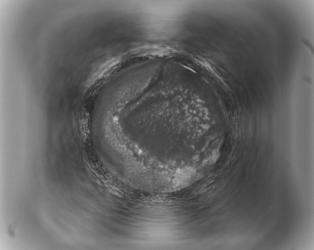 X0000102401399200808291435