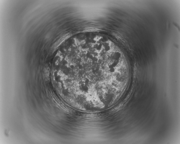 X0000102401401200808291435