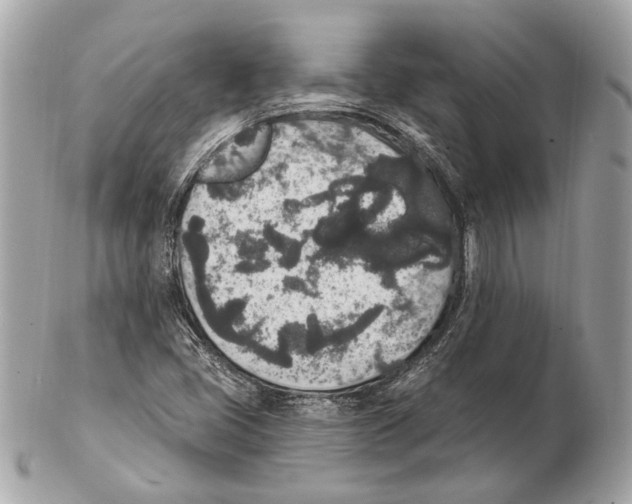 X0000102401405200808291435