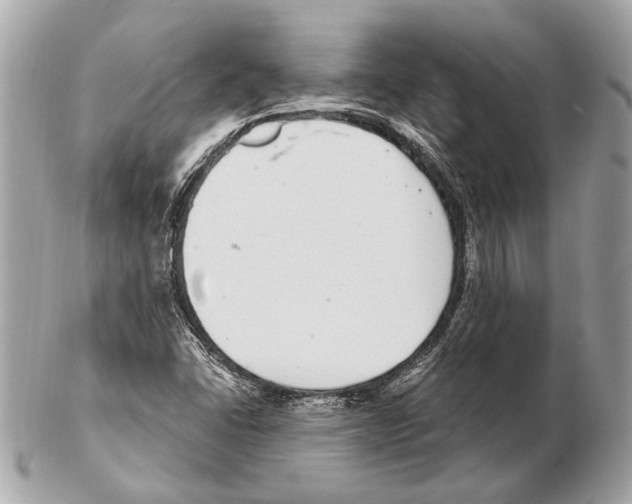 X0000102401406200808291435