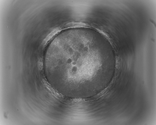 X0000102401407200808291435