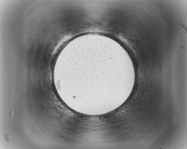 X0000102401408200808291435
