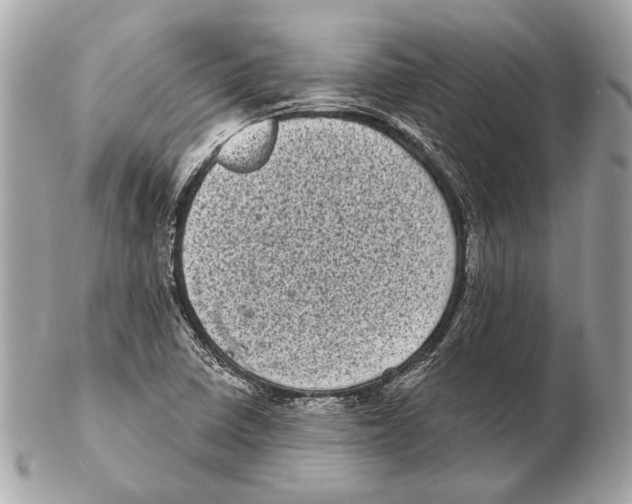 X0000102401410200808291435