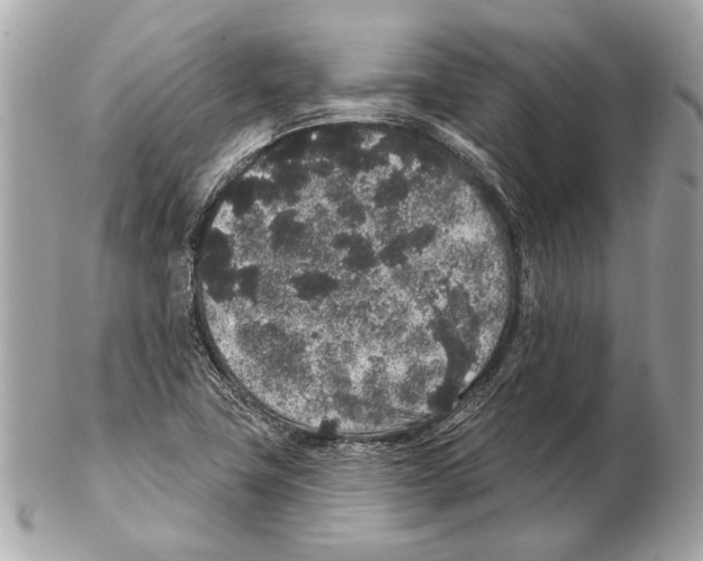 X0000102401411200808291435