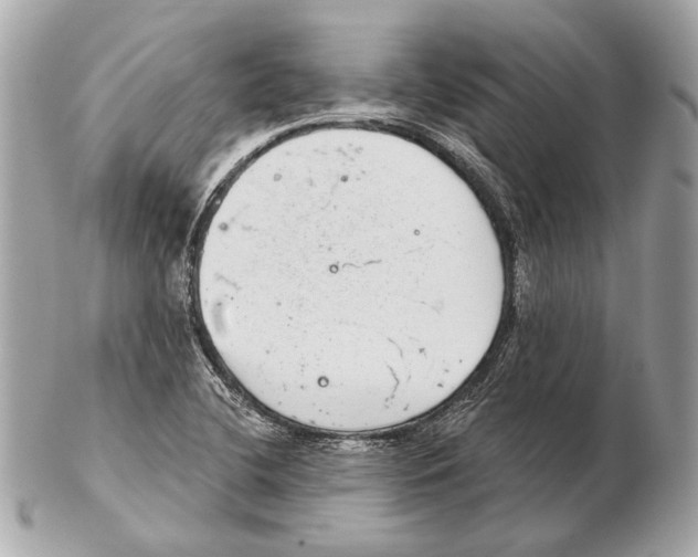 X0000102401412200808291435