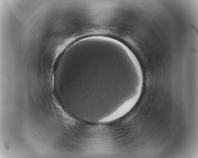 X0000102401414200808291435