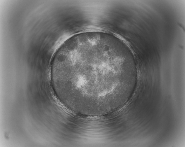 X0000102401415200808291435