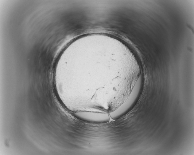 X0000102401416200808291435