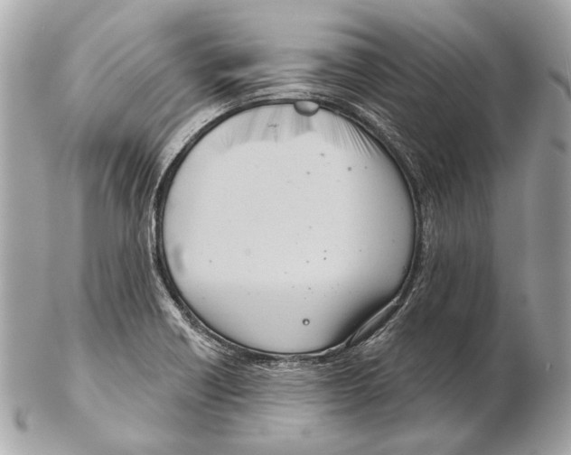 X0000102401418200808291435