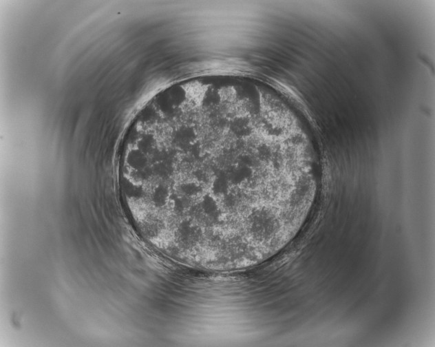 X0000102401419200808291435