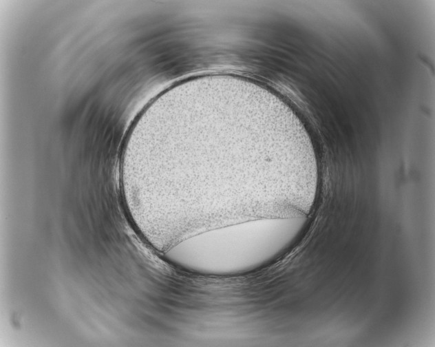 X0000102401420200808291435