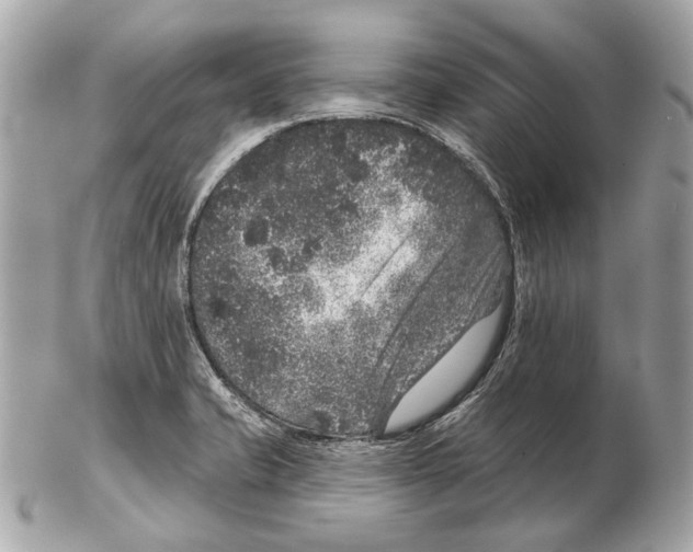 X0000102401421200808291435