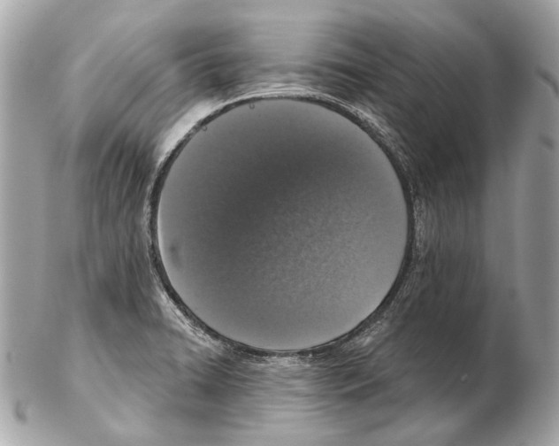 X0000102401422200808291435
