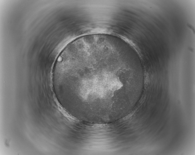 X0000102401423200808291435