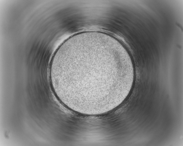 X0000102401424200808291435