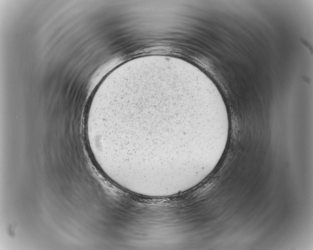 X0000102401426200808291435