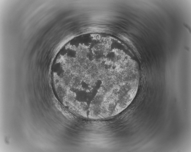 X0000102401427200808291435
