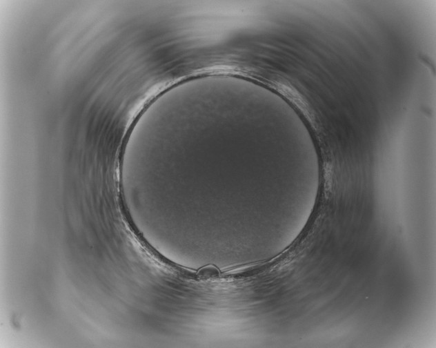 X0000102401428200808291435