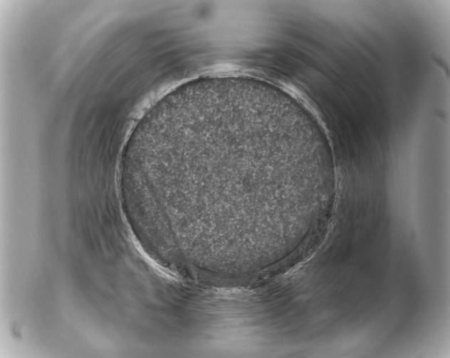 X0000102401429200808291435