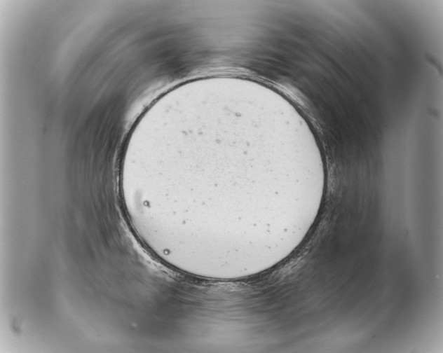 X0000102401430200808291436