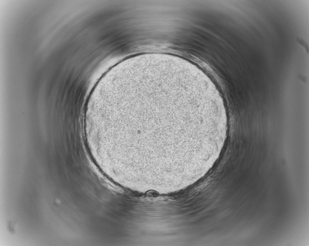 X0000102401432200808291436