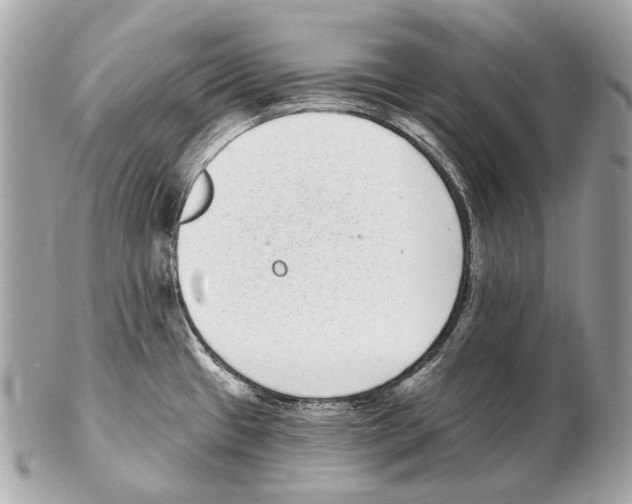 X0000102401433200808291436