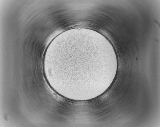 X0000102401434200808291436