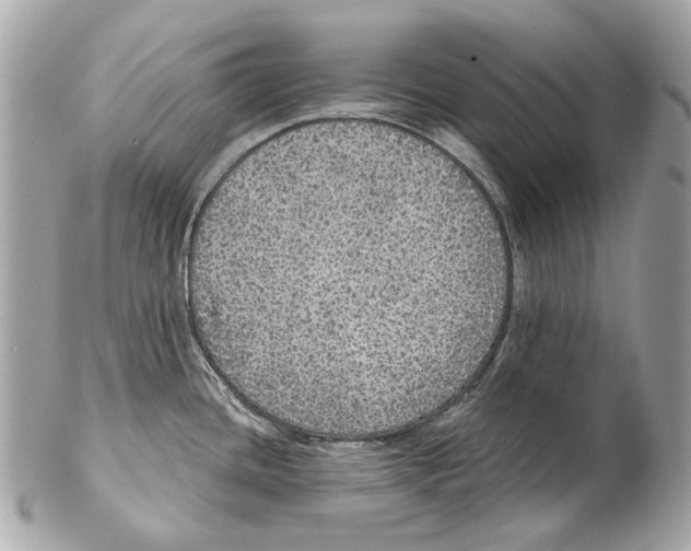 X0000102401436200808291436