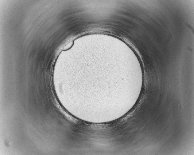 X0000102401437200808291436