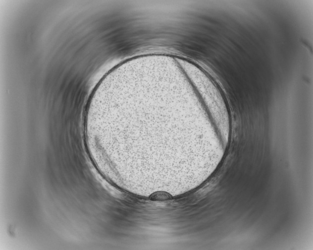 X0000102401438200808291436