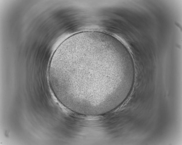 X0000102401440200808291436