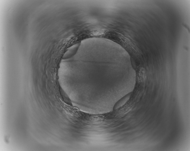X0000102401441200808291435