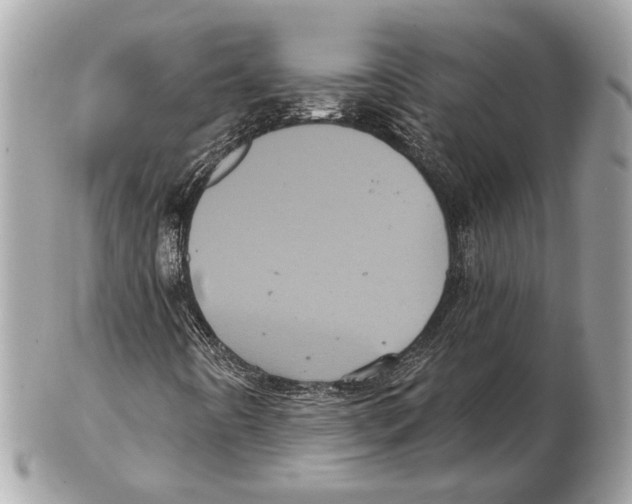 X0000102401442200808291435