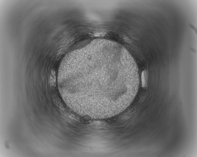 X0000102401443200808291435