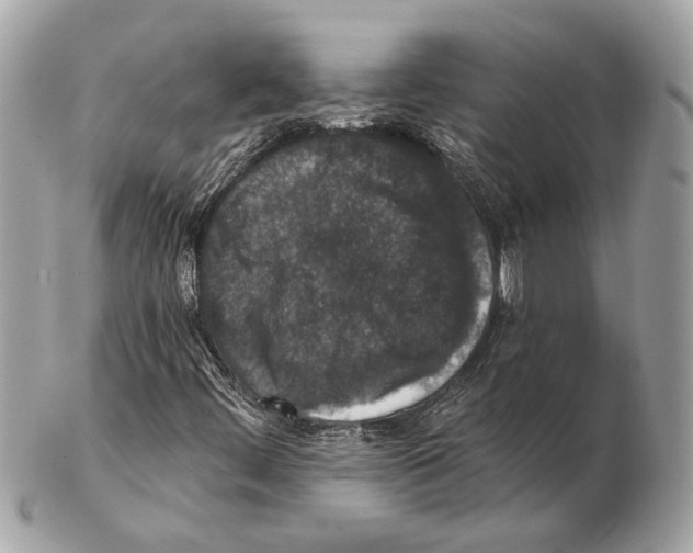 X0000102401444200808291435