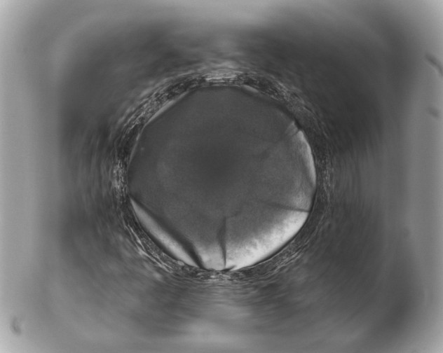 X0000102401445200808291435