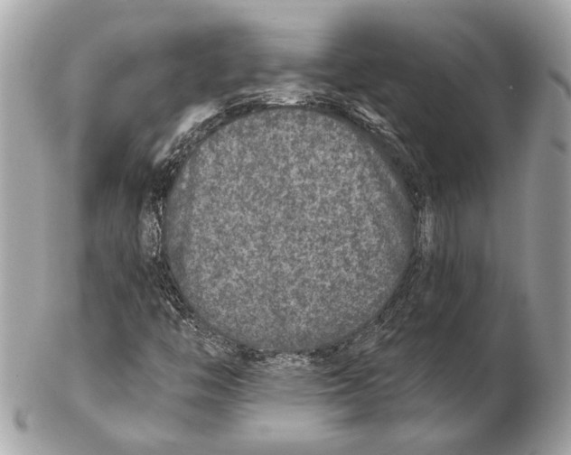 X0000102401446200808291435